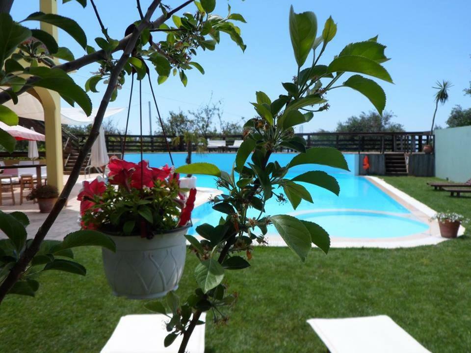 Hawaii Accommodation Pelekas Dış mekan fotoğraf